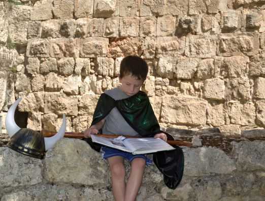 Jerusalem's top events for the week of  25.6.2015 - 1